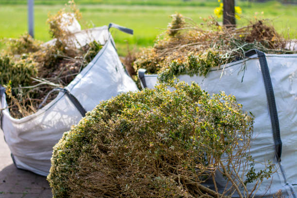 Best Full-Service Junk Removal  in Cole Camp, MO